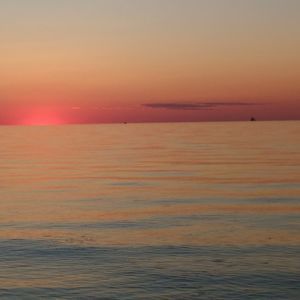 Meet your Posher, Dmitry